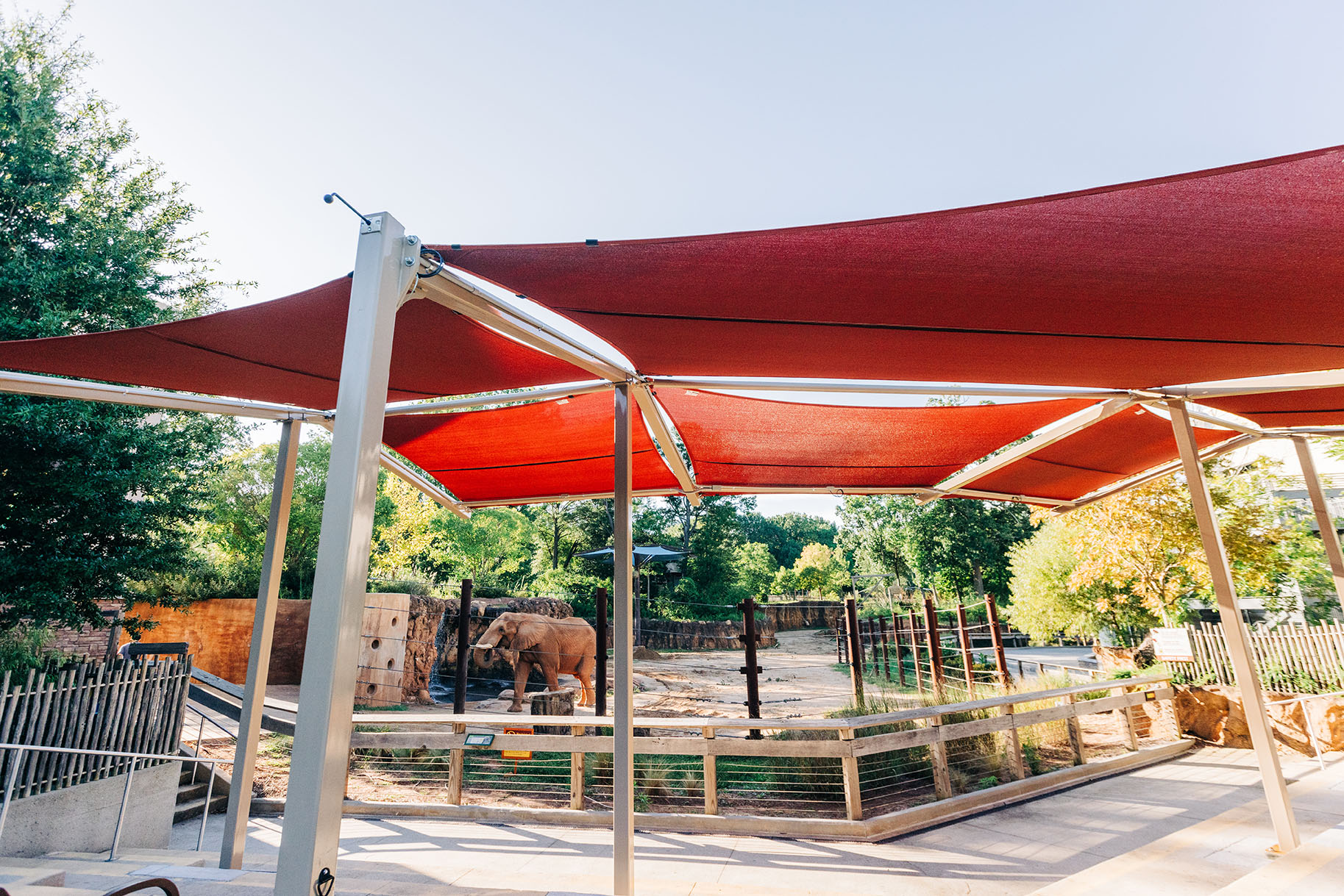 Elephant Viewing Amphitheater Shade at Zoo Atlanta